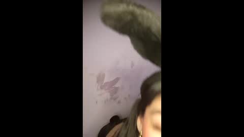 labonitabrazil online show from February 10, 2026, 7:51 pm