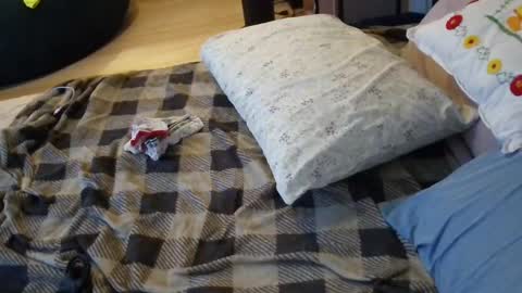 lacey_rose6 online show from July 1, 2026, 8:05 am
