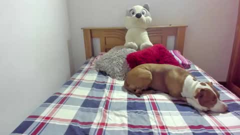 Snapshot of ladahear_ chatting on October 21, 2025, 11:55 am Akyra online show from October 21, 2025, 11:55 am