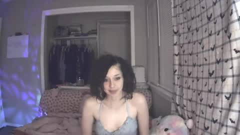 Snapshot of ladybughug chatting on December 18, 2024, 3:04 am hugbug online show from December 18, 2024, 3:04 am