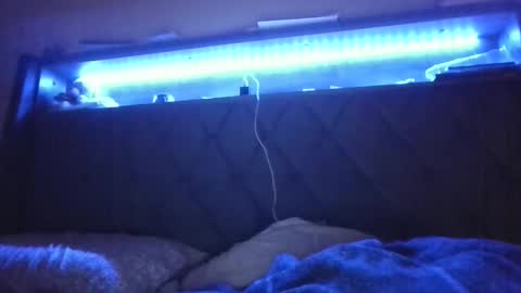 Snapshot of ladycinnabon chatting on February 24, 2025, 5:11 am Stephanie online show from February 24, 2025, 5:11 am