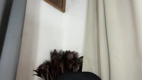 ladylollipop_marls online show from March 10, 2026, 10:31 am