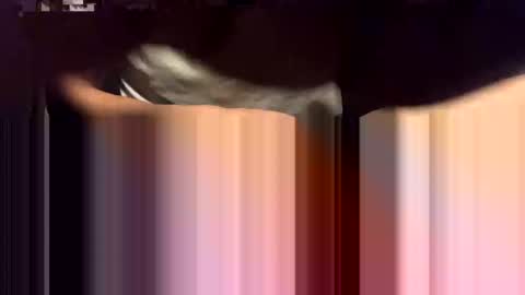 Snapshot of lalo112233vaz chatting on November 16, 2025, 9:04 am lalo112233vaz online show from November 16, 2025, 9:04 am