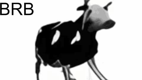 just call me Lana  and her security online show from February 6, 2025, 2:15 pm