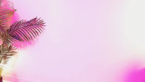 Snapshot of lana_ortega chatting on March 29, 2026, 3:50 am LANA online show from March 29, 2026, 3:50 am