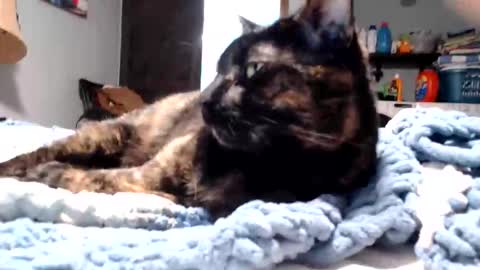 Lance online show from March 11, 2026, 11:11 pm