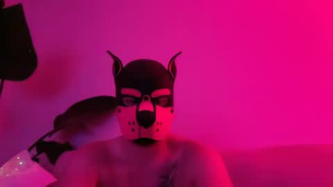 landosmith003 online show from June 18, 2026, 9:14 am