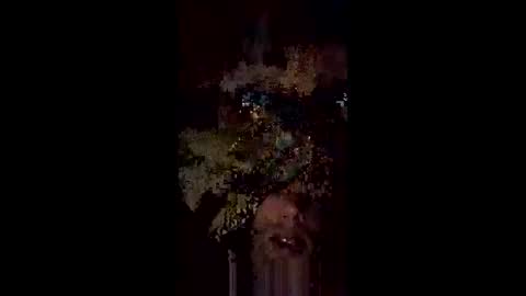langederek2 online show from May 18, 2026, 3:24 am