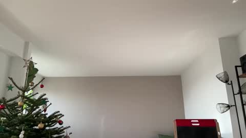 Lanimal online show from December 18, 2025, 11:27 am