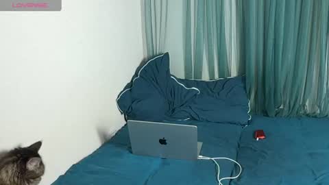 lasplagass online show from June 10, 2026, 5:56 pm