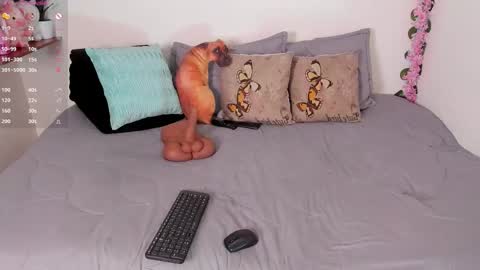 Snapshot of laura1__ chatting on December 15, 2025, 11:31 pm laura1__ online show from December 15, 2025, 11:31 pm