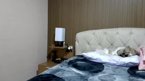 Snapshot of laylabrasil chatting on July 3, 2026, 9:10 pm kelly online show from July 3, 2026, 9:10 pm