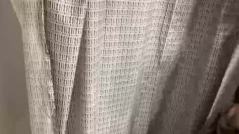 leader328398 online show from September 14, 2025, 10:47 am