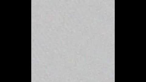 leejhonsonnn online show from November 11, 2025, 11:32 am