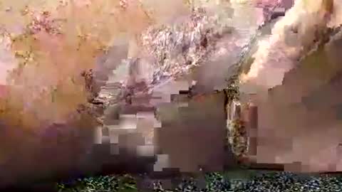 legofactory online show from January 27, 2025, 4:52 am