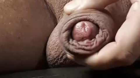 legofactory online show from February 13, 2025, 4:54 am