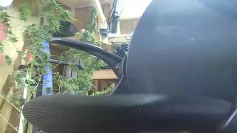 Snapshot of lenghtygirth chatting on September 9, 2025, 7:46 pm HoleStretcher online show from September 9, 2025, 7:46 pm