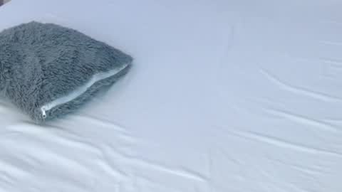 LUCY online show from November 28, 2025, 8:55 pm