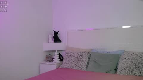 Leone Noir online show from February 28, 2026, 7:31 am