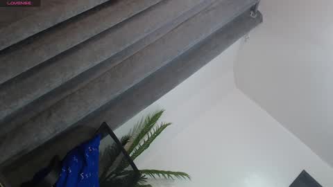 Trisha18 online show from January 27, 2025, 6:09 am