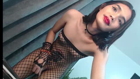 Trisha18 online show from February 6, 2025, 10:10 pm