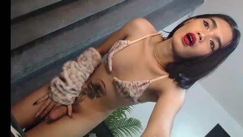 Trisha18 online show from March 1, 2025, 5:42 am