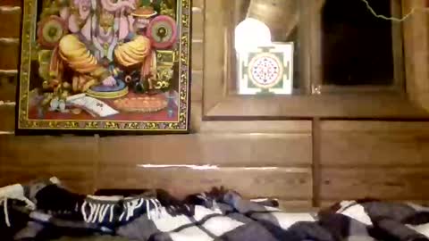 leskator9 online show from March 31, 2026, 3:08 am