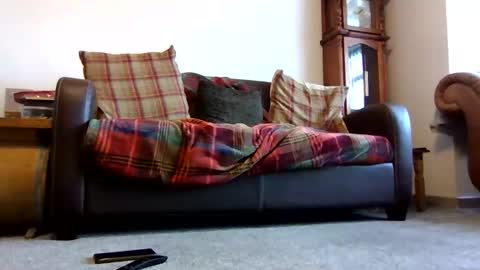 paul online show from February 9, 2026, 9:02 am