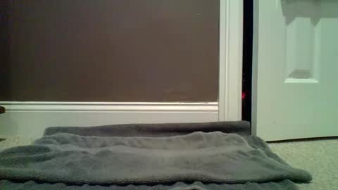 Snapshot of lets_orgasm_ chatting on January 27, 2025, 12:54 am Lets Orgasm online show from January 27, 2025, 12:54 am