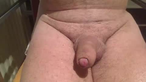 Snapshot of letusplayagain chatting on February 9, 2026, 6:17 am letusplayagain online show from February 9, 2026, 6:17 am