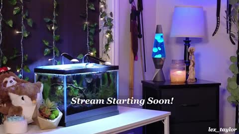 Lex online show from January 9, 2025, 3:04 am