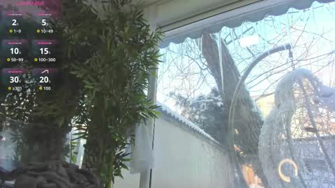 lexi_storm online show from January 12, 2026, 7:46 am