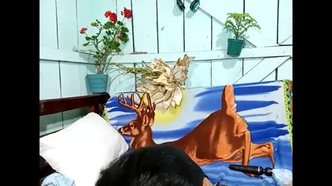 Lia online show from September 13, 2025, 9:25 pm