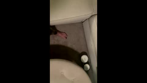 Snapshot of liamleggings chatting on December 1, 2025, 2:38 am liamleggings online show from December 1, 2025, 2:38 am