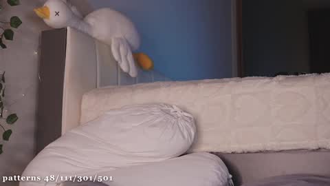 Molly  you can find Bunny here --  online show from January 14, 2025, 4:50 pm