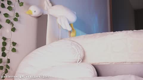 Molly  you can find Bunny here --  online show from March 12, 2025, 3:51 pm