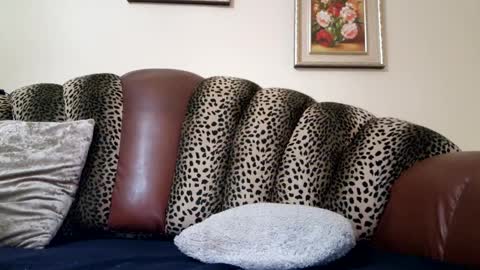 Celine online show from December 19, 2024, 10:53 pm