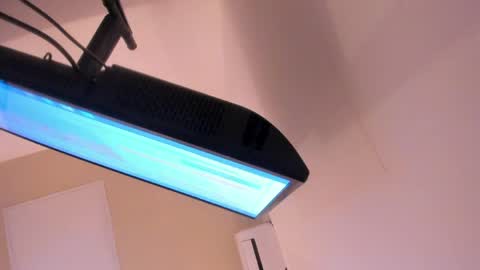 L I L A   online show from March 30, 2026, 4:35 am