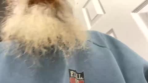 lilchaps69 online show from February 4, 2026, 5:46 am