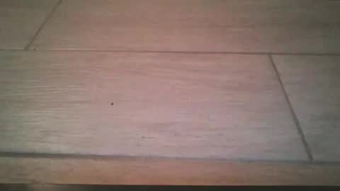 lildicksissy online show from November 22, 2025, 11:59 pm