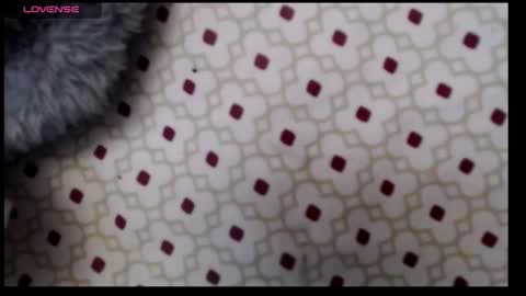 Snapshot of lildragon069 chatting on December 7, 2024, 9:28 am lildragon069 online show from December 7, 2024, 9:28 am