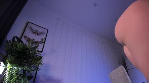 Snapshot of lilian_kroft chatting on February 6, 2025, 12:16 pm LIL online show from February 6, 2025, 12:16 pm