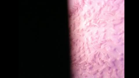 lilycelest online show from May 13, 2026, 6:44 am