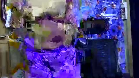 Snapshot of limaakter246618 chatting on October 21, 2025, 4:41 pm limaakter246618 online show from October 21, 2025, 4:41 pm