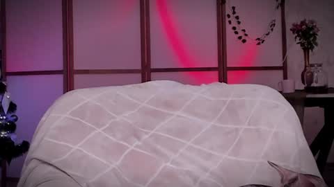 Snapshot of lina_n_kitty chatting on December 16, 2024, 11:44 am Lina - online show from December 16, 2024, 11:44 am