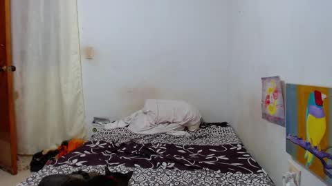 Snapshot of lion_grr chatting on December 16, 2025, 2:16 am lion_grr online show from December 16, 2025, 2:16 am