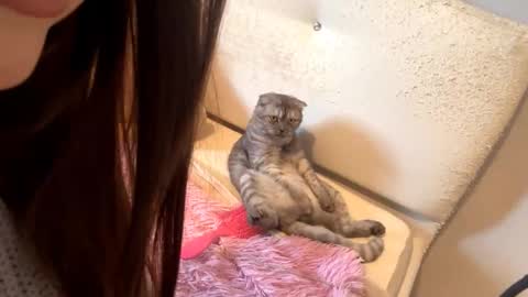 Snapshot of little_anioneta chatting on October 7, 2025, 2:09 am Catherine online show from October 7, 2025, 2:09 am