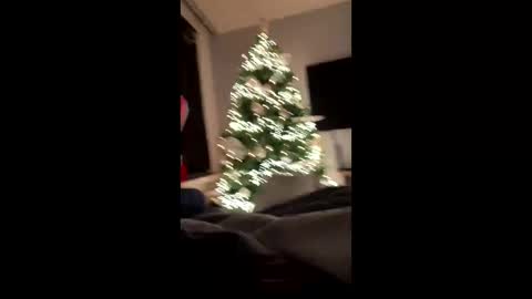 Cumshooter online show from December 8, 2024, 12:18 am