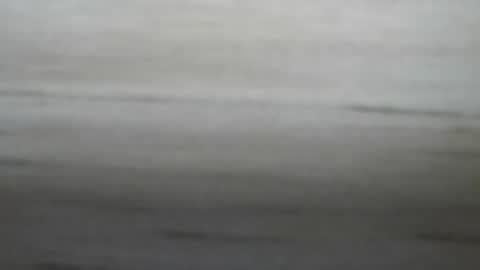 Snapshot of lockedpeepee chatting on January 8, 2025, 8:18 pm lockedpeepee online show from January 8, 2025, 8:18 pm