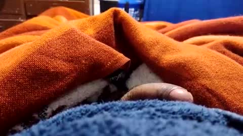 loganncky online show from March 5, 2026, 7:59 am